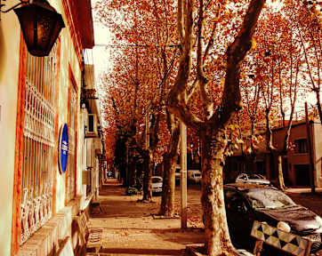 Bilder av Celestino Hostel B&B