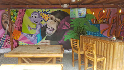 Purple Monkey Hostel照片