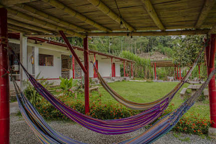 Hacienda Venecia Hostel tesisinden Fotoğraflar