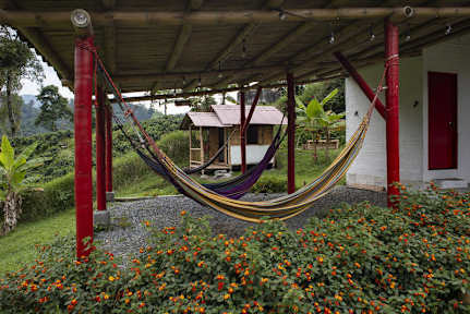 Hacienda Venecia Hostel tesisinden Fotoğraflar