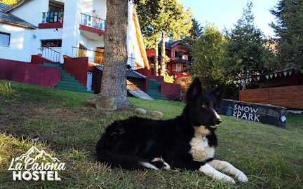 La Casona Hostel照片