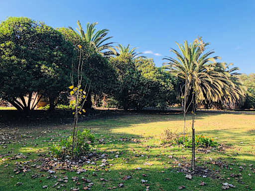 Eco lodge El Arbol