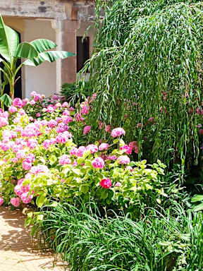 AVAIL Hostel