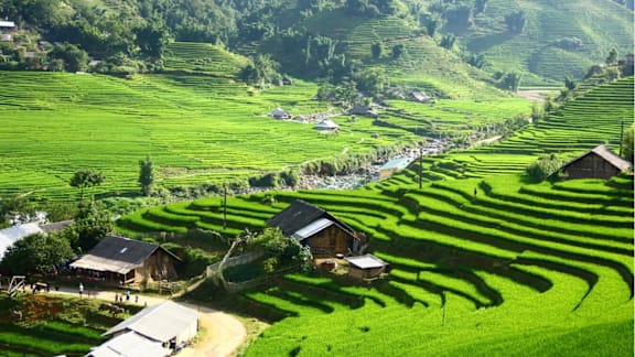 Hmong Sister House and Trekking