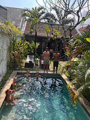 The Jungle House