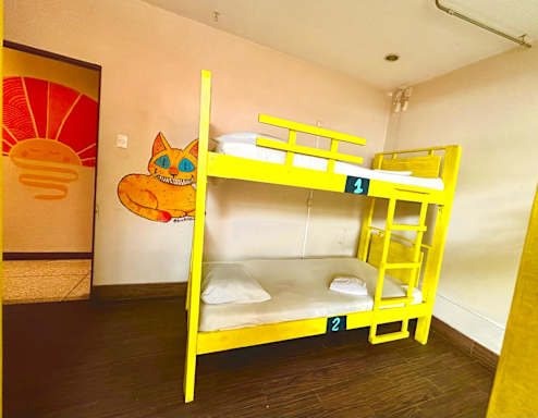 Stray Cat Hostel, San Jose 2025 Prices Reviews