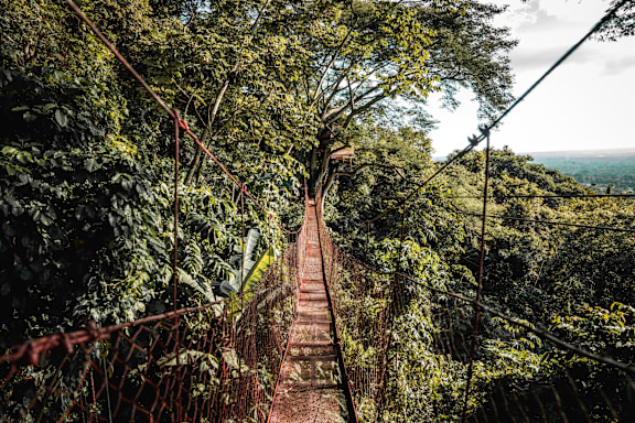 Treehouse