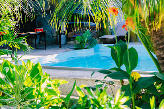 Ananas Guesthouse Moalboal