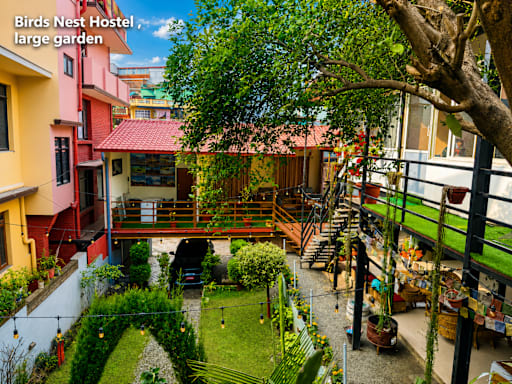 Birds Nest Hostel
