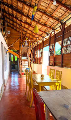Hostel La Ballena Backpacker
