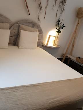 Cactus Host, Gran Canaria - 2026 Prices & Reviews