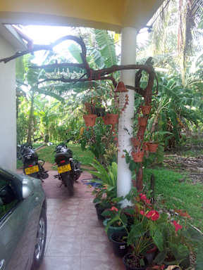 Diyawara Home Stay