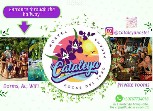 Cataleya Hostel