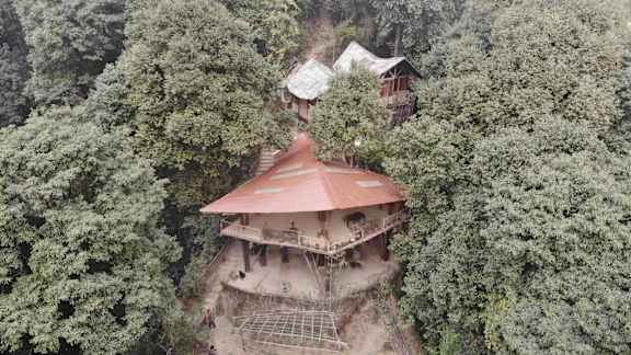 Tieedi Forest Garden