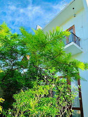 Jungle City Hostel