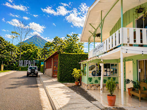 Alpha Arenal