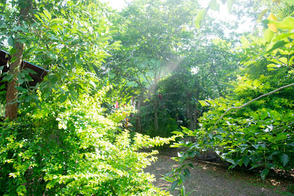 Evergreen Villa Nature Resort