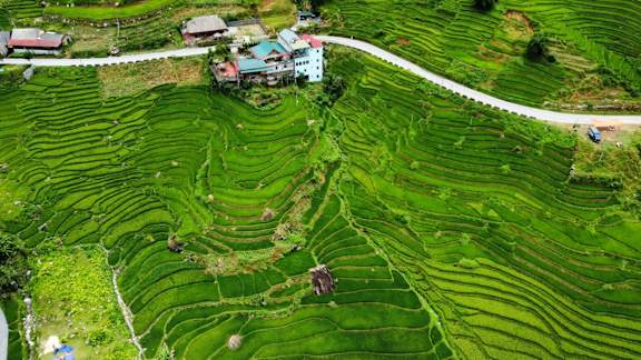 Hoa's Homestay Sapa