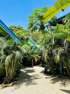Surf Paradise