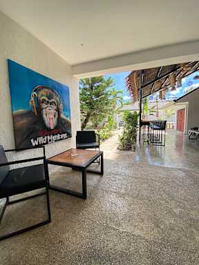 Wild Monkeys Hostel