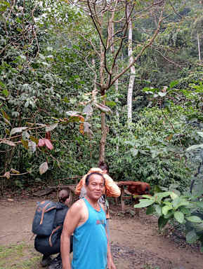 Orangutan Inn