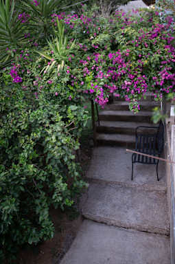 Bambu Hostel
