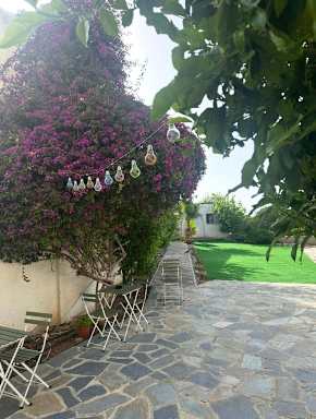 Hostl - Beds & Rooms - The Hostel Inn Paphos