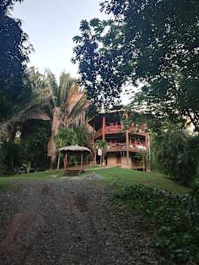 Runaway Pineapple Lodge