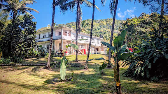 Kingston Reggae Garden