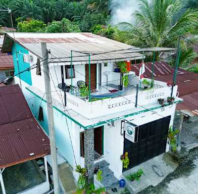 See Bukitlawang Homestay