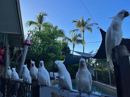 Airlie Beach Backpackers By The Bay, Airlie Beach - 2026 Prices & Reviews Airlie Beach Backpackers By The Bay, Airlie Beach - 2026 Prices & Reviews