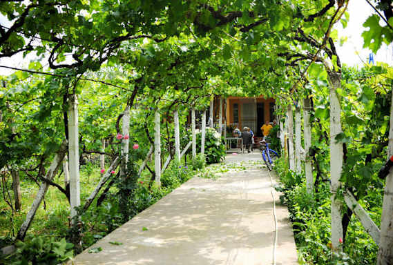 Florian's Guest House
