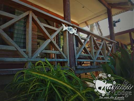 Naqalia Lodge
