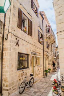 The White Rabbit Hostel