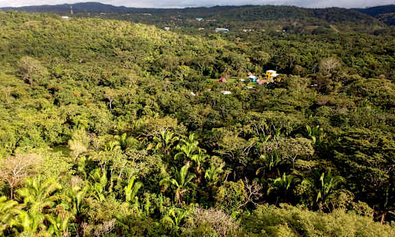 Lower Dover Jungle Lodge & Maya Ruins