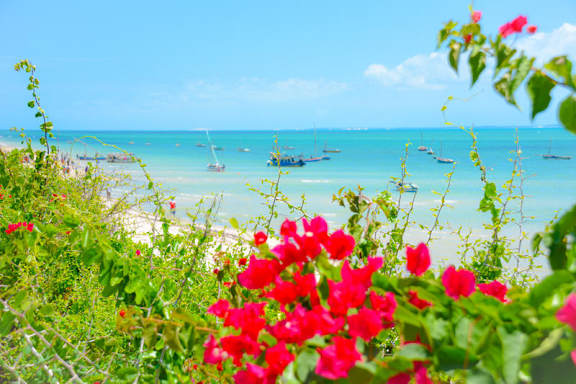 Baobab Beach Lodge and Backpackers