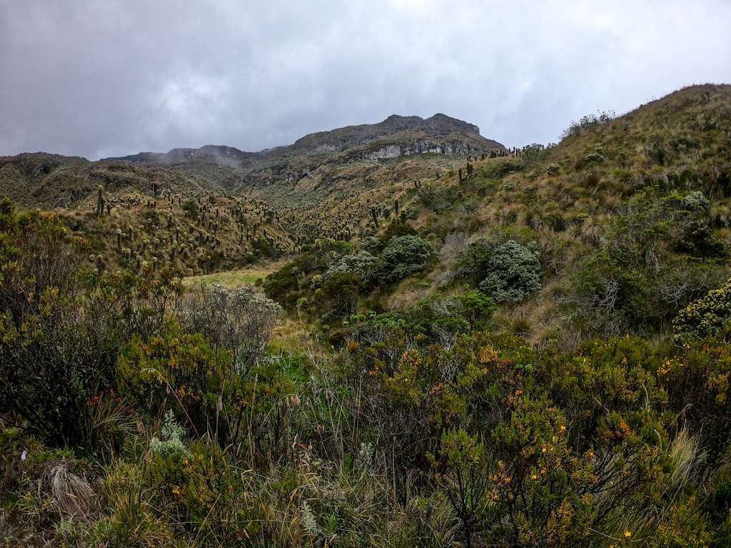 Golden Frog Mountain Hostel