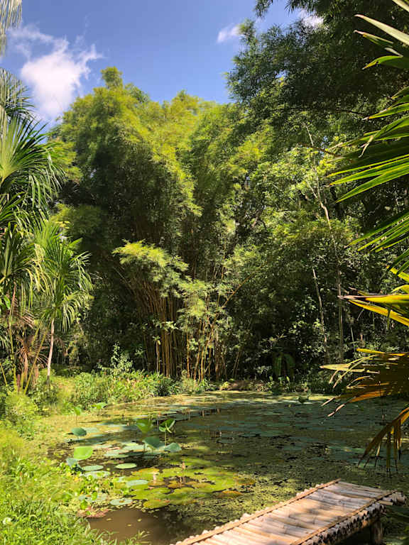 Reserva Biologica Caoba