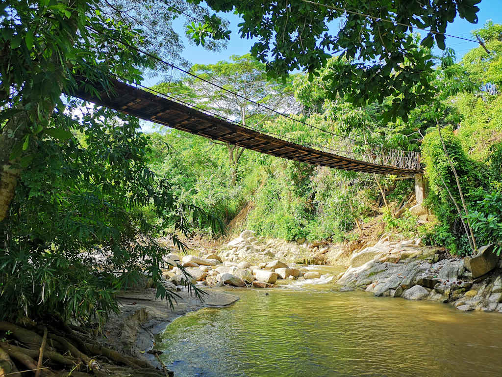 Mama Tayrona Jungle Hostel