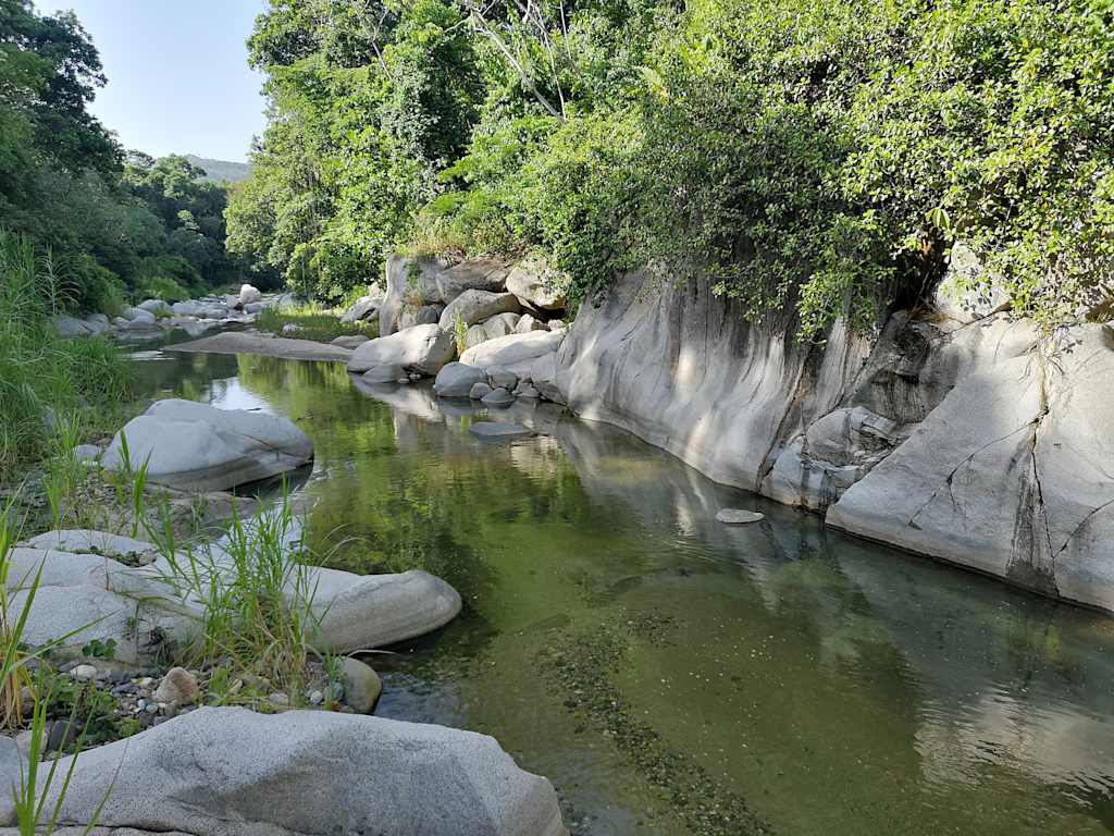 Mama Tayrona Jungle Hostel