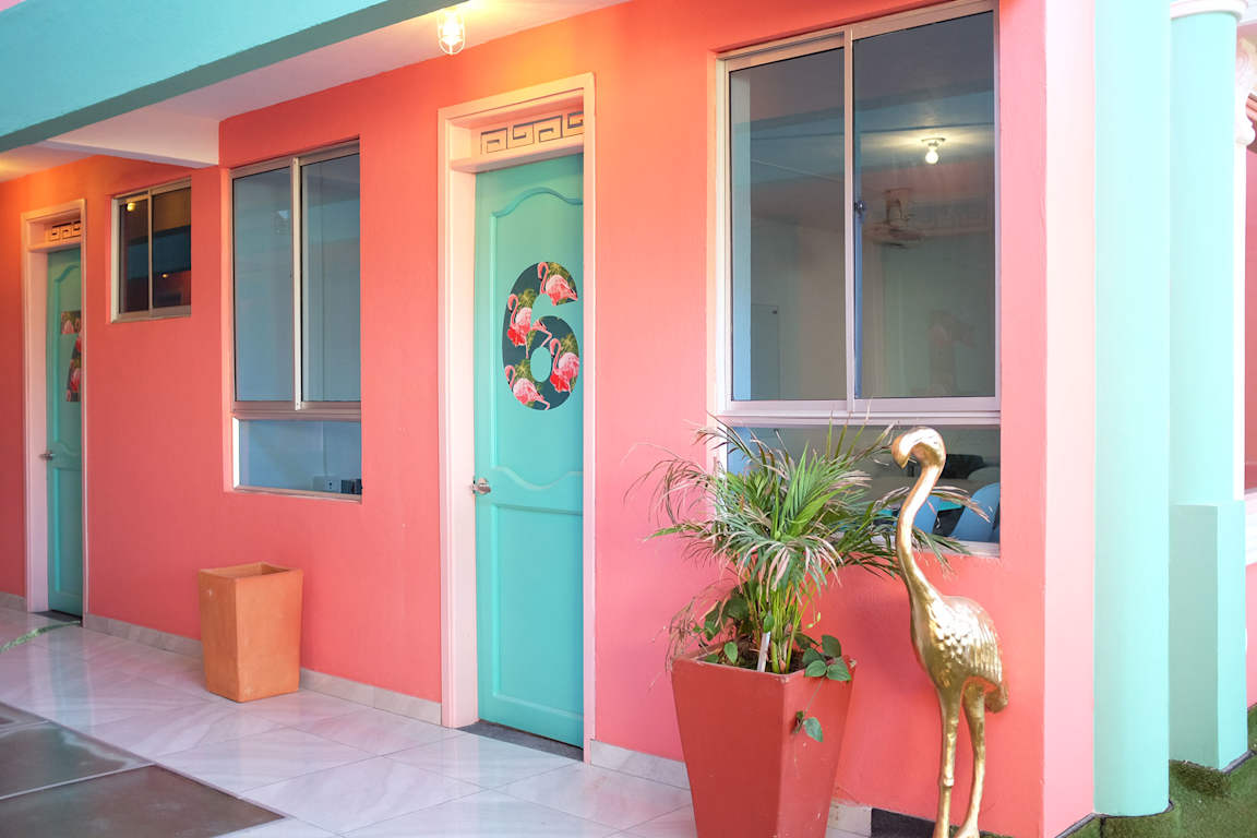 Flamingo Hostel &amp; Coworking