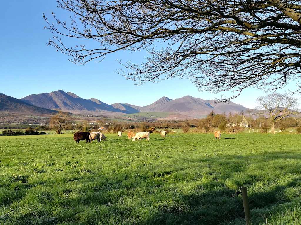 Inveraray Farm