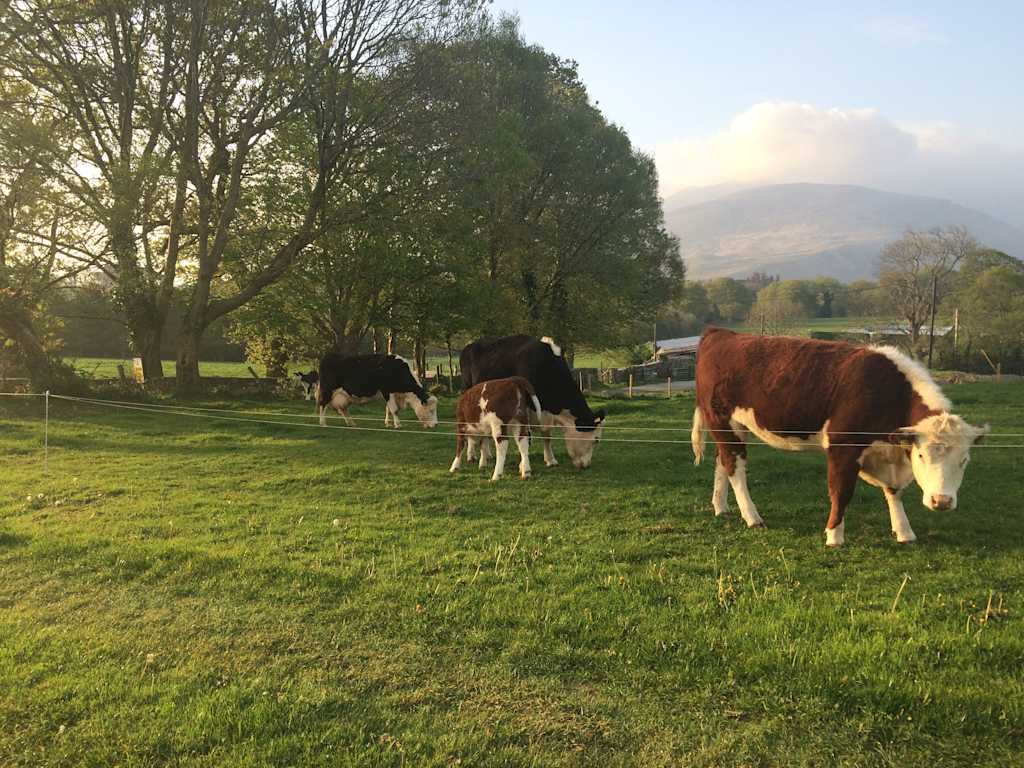 Inveraray Farm