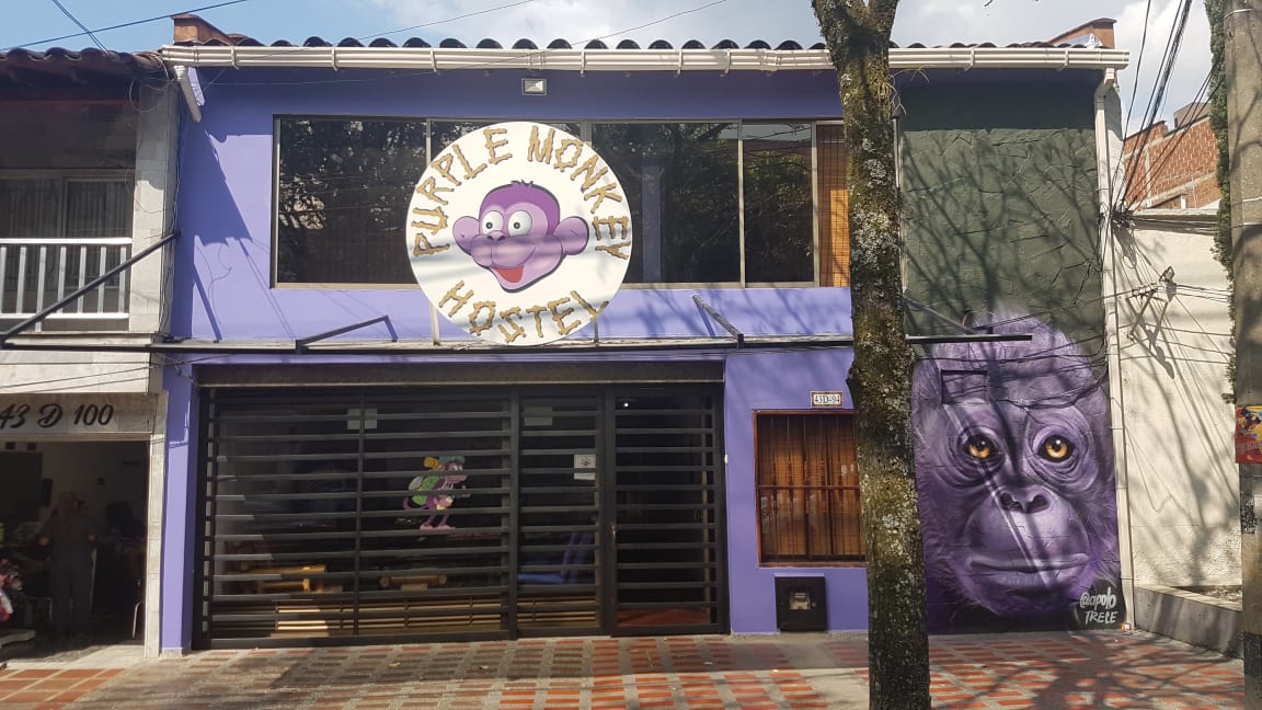 Purple Monkey Hostel