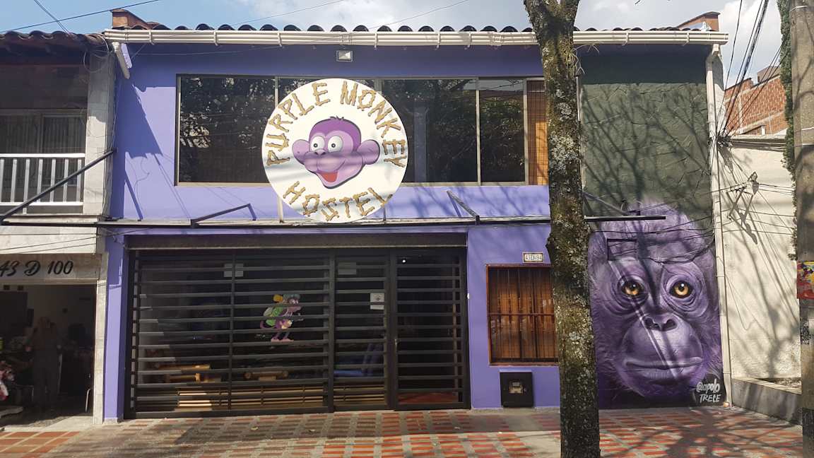 Purple Monkey Hostel