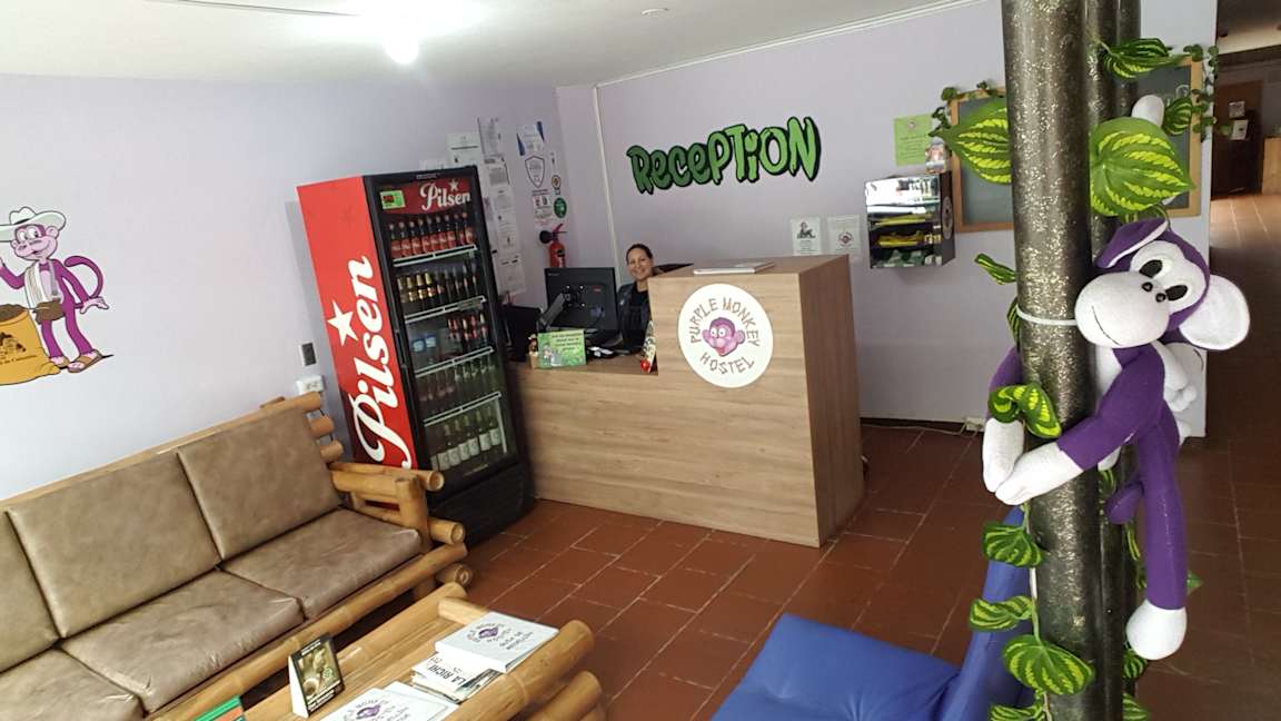 Purple Monkey Hostel