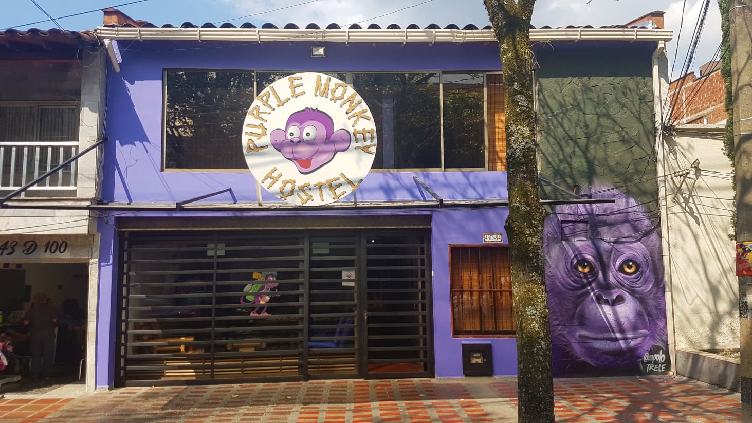 Fotos de Purple Monkey Hostel