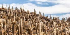 Exibir: 5 paisagens que vão convencer você a visitar Uyuni nas próximas férias