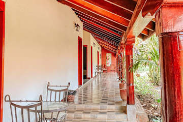 ViaVia Leon, Leon