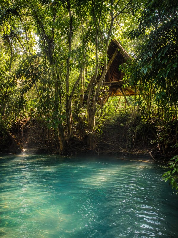 Ecocio Jungle Hostel - Coron
